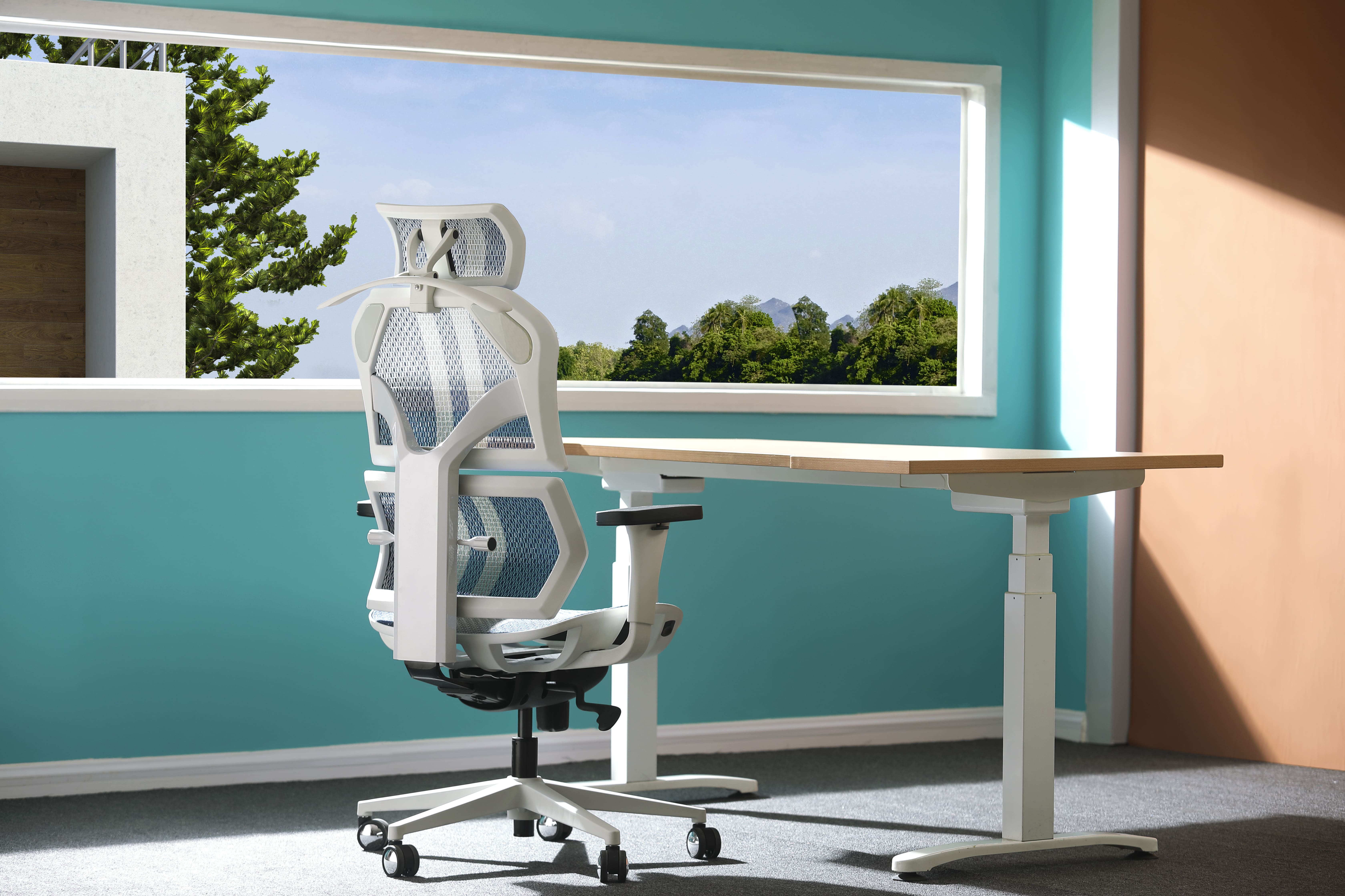 Elegir la Mejor Silla Ergonómica de Oficina